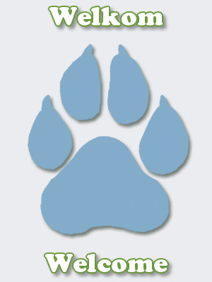 paw