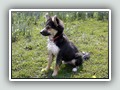 4 maanden