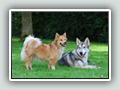 Vriendjes