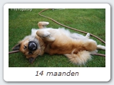 14 maanden