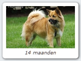 14 maanden