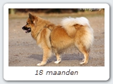 18 maanden