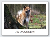 20 maanden