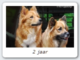 2 jaar
