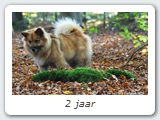 2 jaar