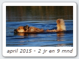 april 2015 - 2 jr en 9 mnd