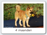 4 maanden