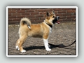 14 weeks