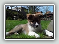 9 weeks