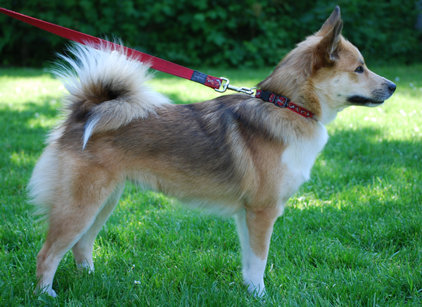 Ysja en Drifa jan. 2009