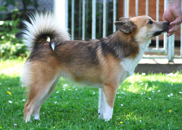 Ysja en Drifa jan. 2009